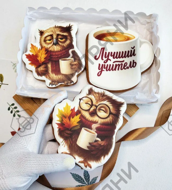 Набор учителю — миниатюра 2